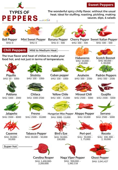 Common types of chilies