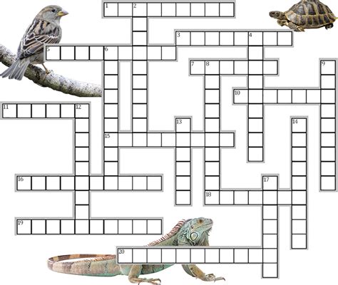 Crossword evolution