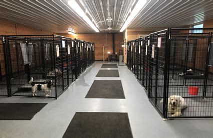 dog board and train facilities