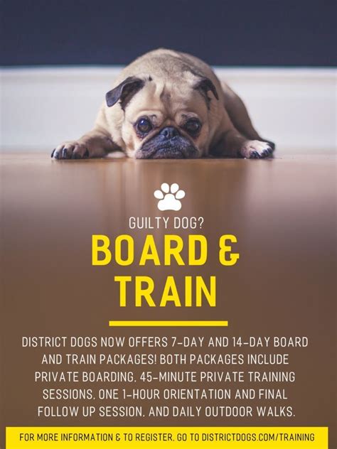 dog board and train red flags
