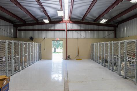 dog boarding and training red flags