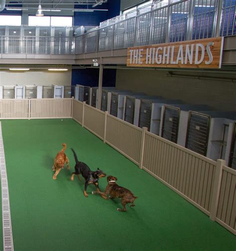 Dog Boarding Facilities