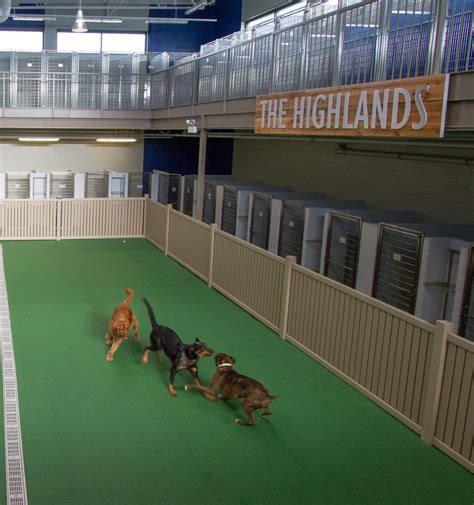 Dog Boarding Facility
