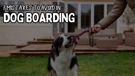 dog boarding mistakes