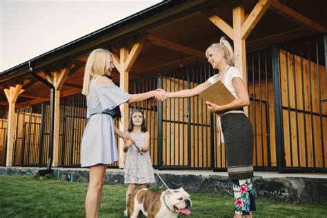 Dog Boarding Options