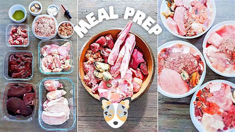 Dog Preparation