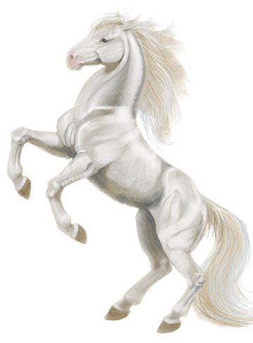 Equine Color Calculator