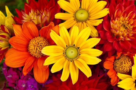 Fall flowers coloring page