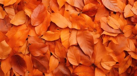 Fall leaves coloring page