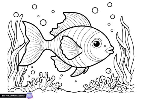 Fish coloring books