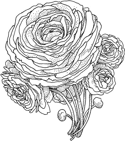 Floral Coloring Page