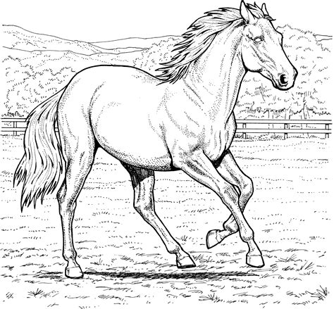 Free horse coloring pages for kids