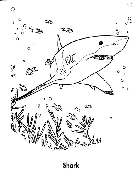 Free shark coloring pages to print