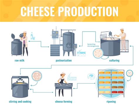 Fromage cheese production
