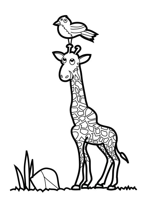 Giraffe coloring page