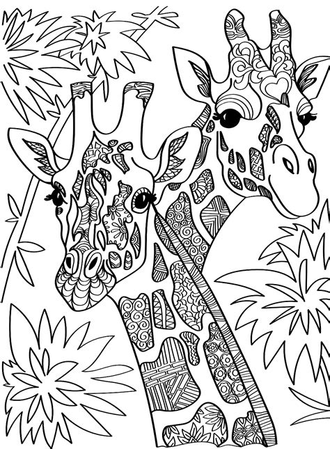 Giraffe coloring page for adults