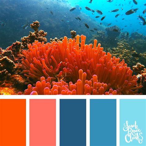 Gray and Coral Color Combination