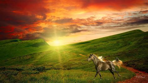 Horse and Sunshine