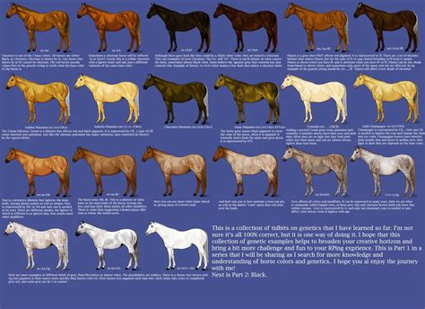 Horse Color Calculator
