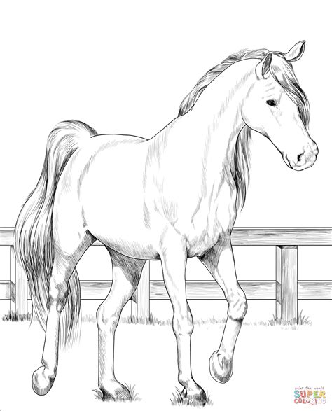 Horse Coloring Sheets