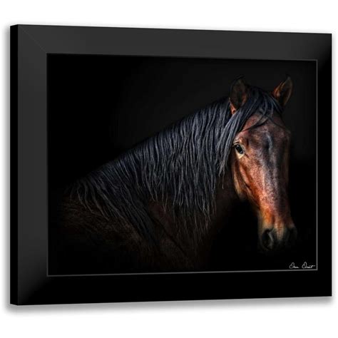 Horse Portrait