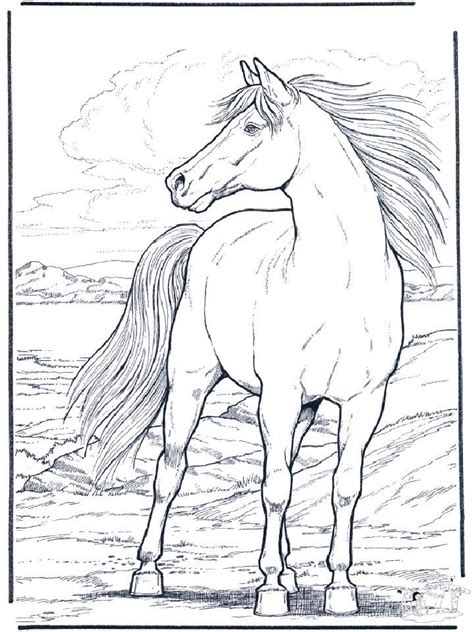 A variety of horses coloring pages for kids