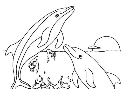 How to get the most out of dolphin coloring pages