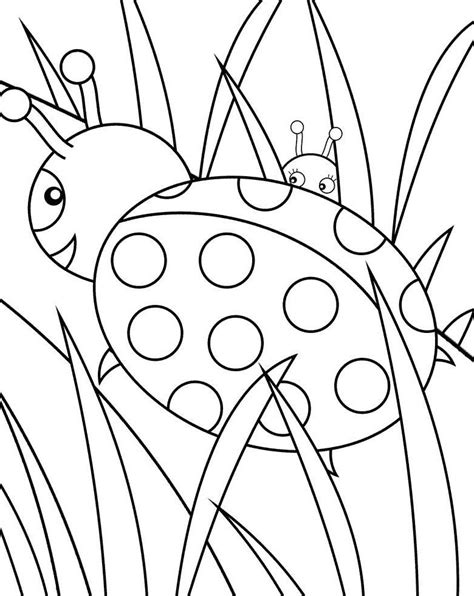 Ladybug Coloring Page Types