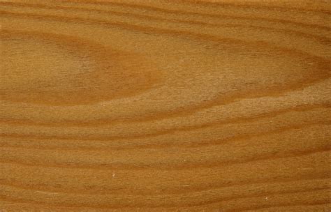 Larch wood grain