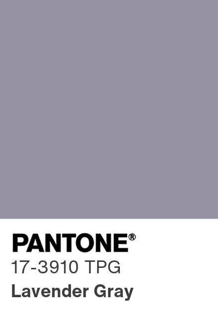 Lavender and Gray