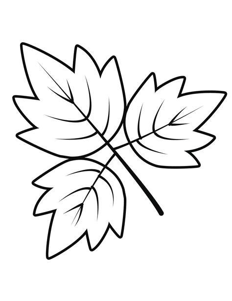 Leaf Coloring Page