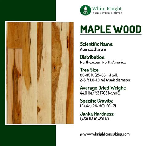 Maple wood