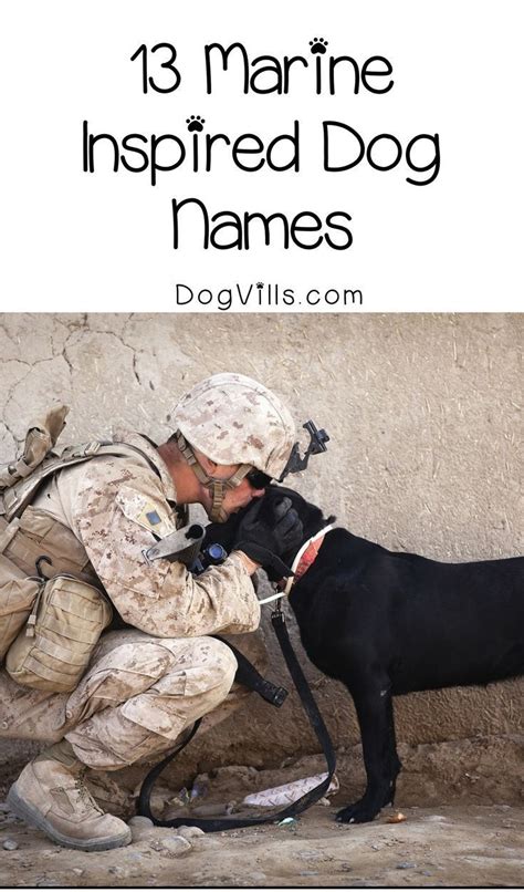 Marine Corps-Inspired Dog Names