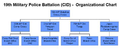 Military Police Roles