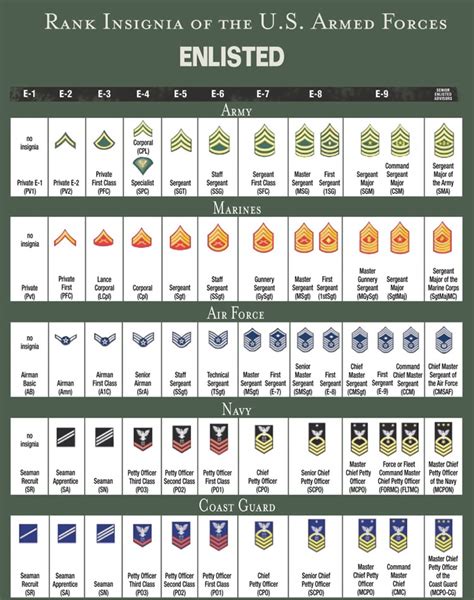 Military Ranking System