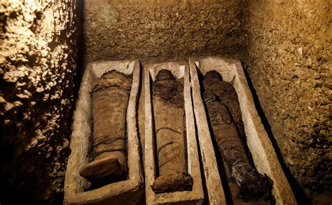 Mummy's Tomb Bulletin Board