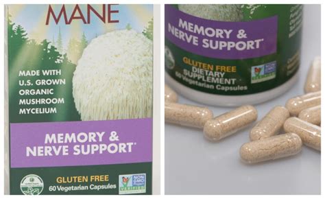 Benefits of Playing Mycelium