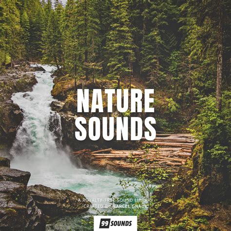 Nature Sounds