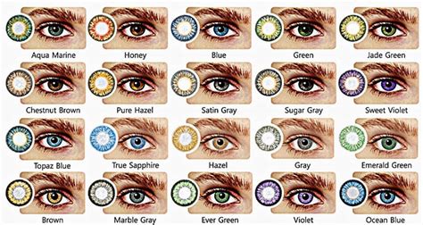 Onyx Eye Color Genetics