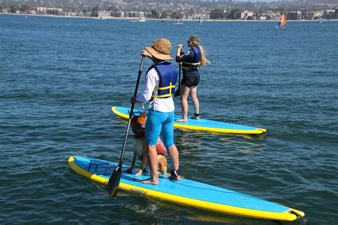 Paddle board rental benefits
