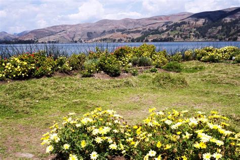 Peruvian Prairies Landscape