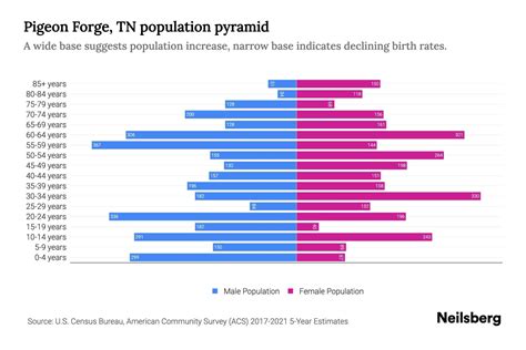 Pigeon Forge TN Demographics