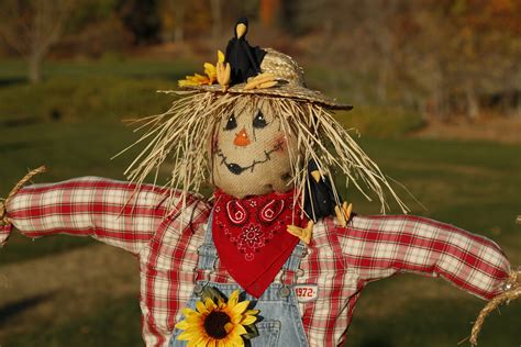 Scarecrow coloring page