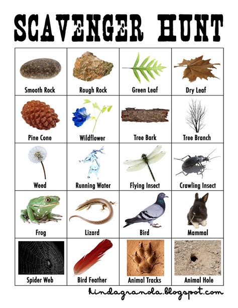 Scavenger Hunt Objective