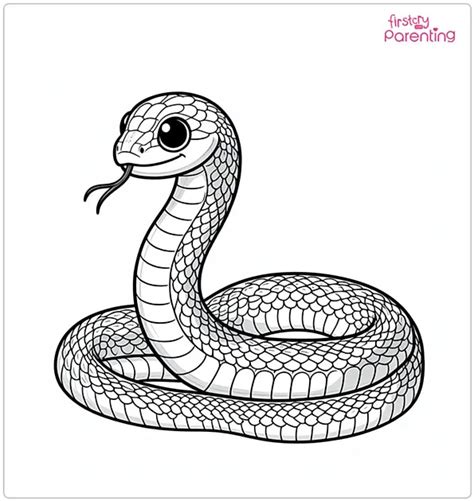 Snake Coloring Pages for Kids