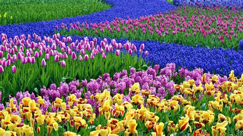 Spring Florals Color Palette