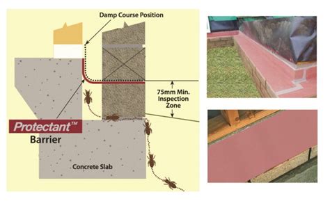 structural pest control boards protect homes