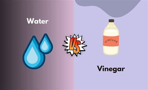 Vinegar and Water