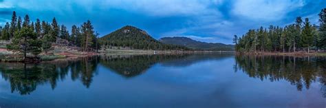 Wildlife and Ecology at Wellington Lake