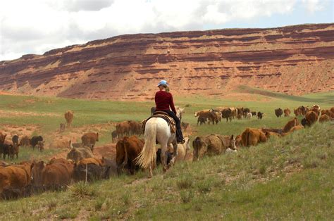 Willow Creek Ranch